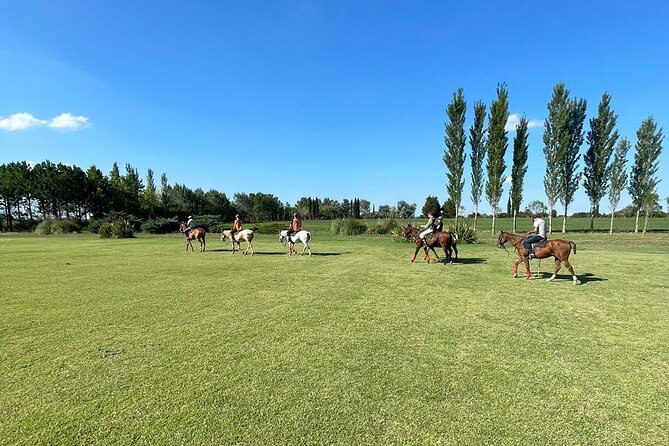 Estancia Day in Buenos Aires! - Horseback riding or a carriage ride