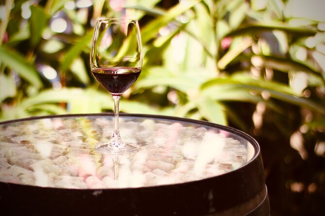 Exclusive Malbec Wine Tasting in Buenos Aires - Cheese, Bread, and the Limits of the Food Offering