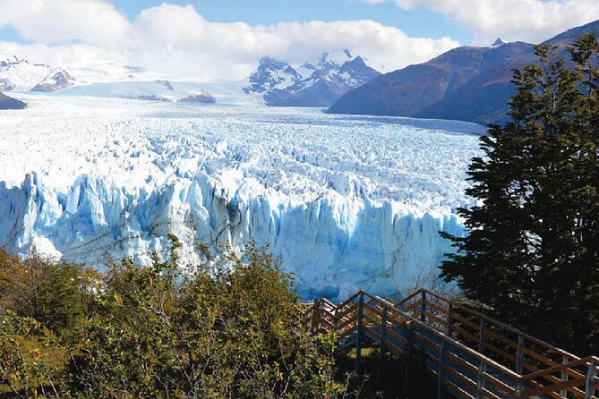 Excursion to Perito Moreno Glacier from El Calafate - Entering the Andean Patagonian Forest