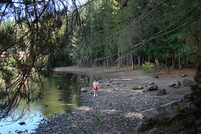 Excursion to San Martin de los Andes via 7-lake Circuit, from Bariloche - Key points to know before booking