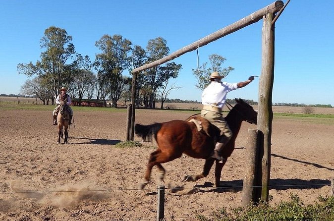 Excursion to typical estancia in the Argentinian Pampas with lunch and gauchos - Leaving Buenos Aires for the Pampas