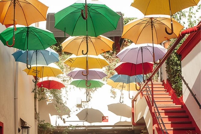 Experience The Essence of Buenos Aires in San Telmo - What the guides add to the experience