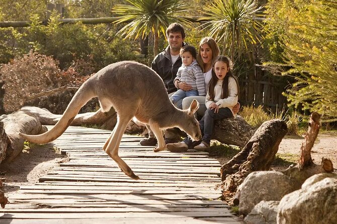 Explore Temaiken: Biopark Tour Experience - Leaving Buenos Aires for Escobar at 9:00 am