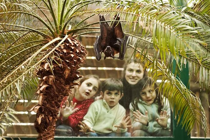 Explore Temaiken: Biopark Tour Experience - The timing problem you should clarify