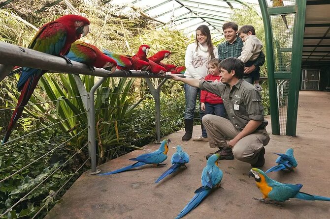 Explore Temaiken: Biopark Tour Experience - Who should book this Temaiken outing
