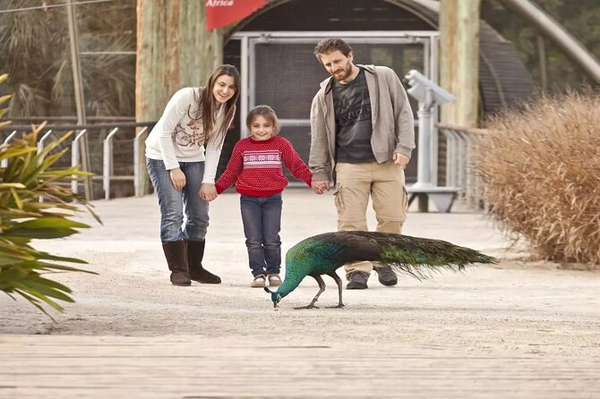Explore Temaiken: Biopark Tour Experience - The best parts of the animal collection