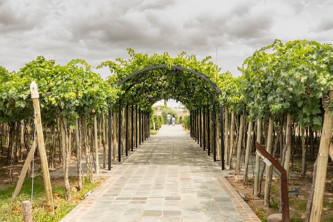Exploring El Enemigo & Casa Vigil / Meet Mendoza´s Wine Icon - Guides matter more than the schedule suggests