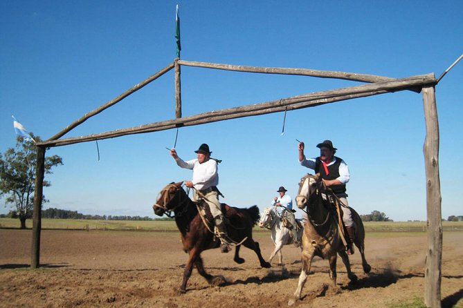 Fiesta Gaucha and Day Ranch in Santa Susana Ranch - Six hours of ranch time, not just a quick photo stop