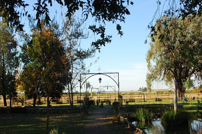 Fiesta Gaucha en Estancia - Day Ranch Gaucho Barbeque - Asado and the social side of gaucho life