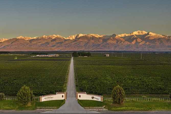 Flavors and Views of Uco Valley and Cordón Del Plata - Key points to know before booking