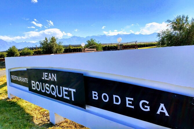 Flavors and Views of Uco Valley and Cordón Del Plata - Why this half-day trip works in Mendoza