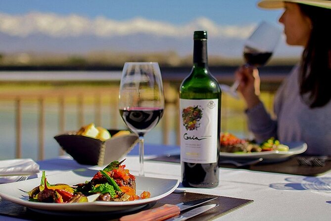 Flavors and Views of Uco Valley and Cordón Del Plata - Two hours among the peaks of Cordon del Plata