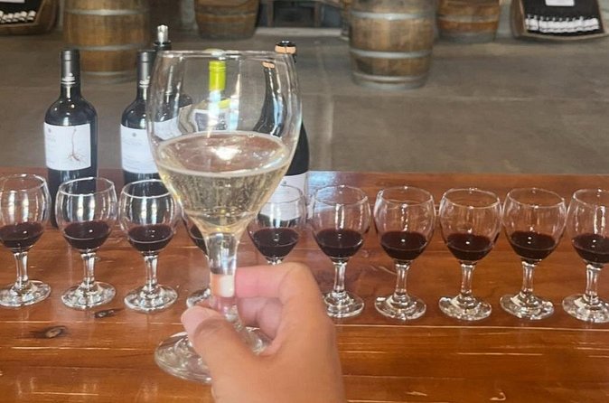 Flavors of Mendocinos - What the Six-Hour Schedule Means for You
