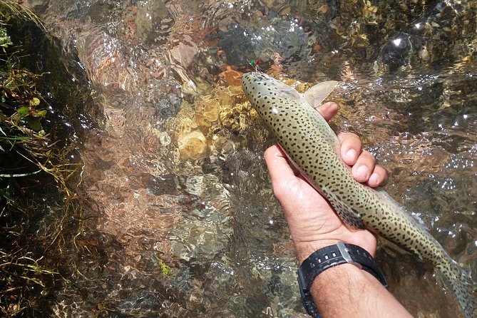 Fly Fishing on Private Andean River Including Barbecue Lunch - Why this Andean fishing day is special