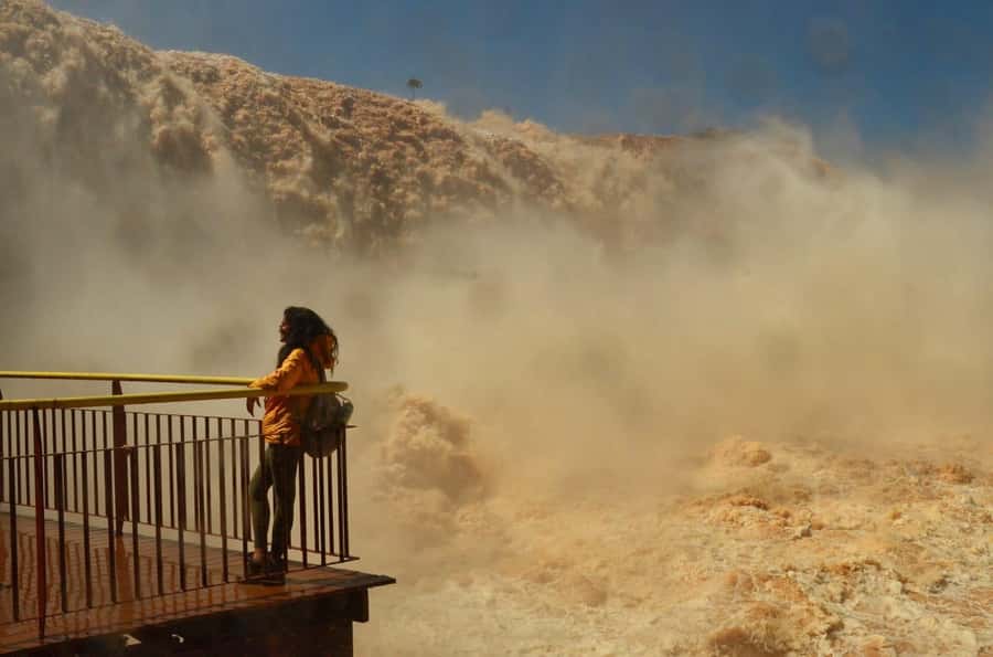 Foz do Iguaçu: Brazil/Argentina Sides Iguazu Falls Day Tour - The optional Brazilian boat ride