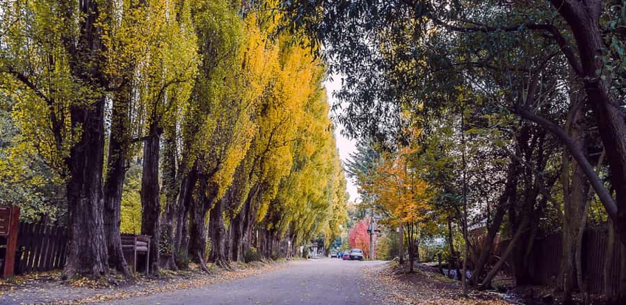 From Bariloche: Chico Circuit & Colonia Suiza Tour - Who will enjoy this Bariloche excursion?