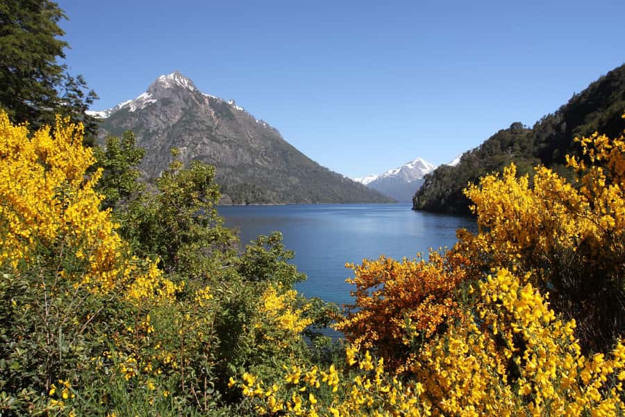 From Bariloche: Half-Day Circuito Chico Sightseeing Tour - The Panoramic Point and Lake Moreno