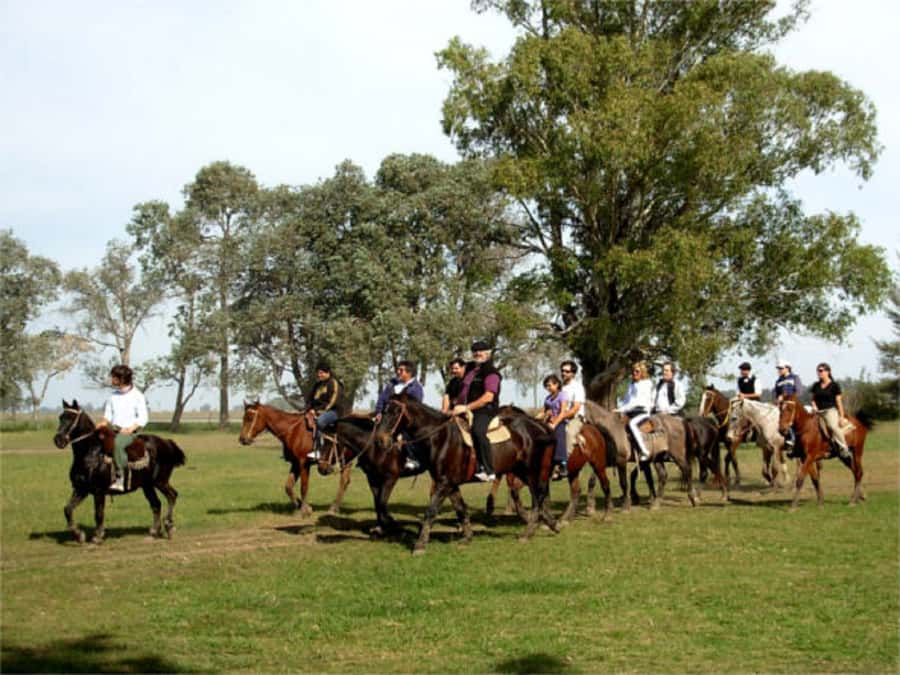 From Buenos Aires: Estancia Don Silvano Tour with Lunch. - Why Don Silvano is more than a staged ranch visit