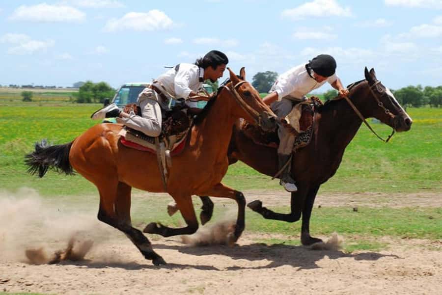 From Buenos Aires: Estancia Don Silvano Tour with Lunch. - Arrival with empanadas, wine, and a country welcome