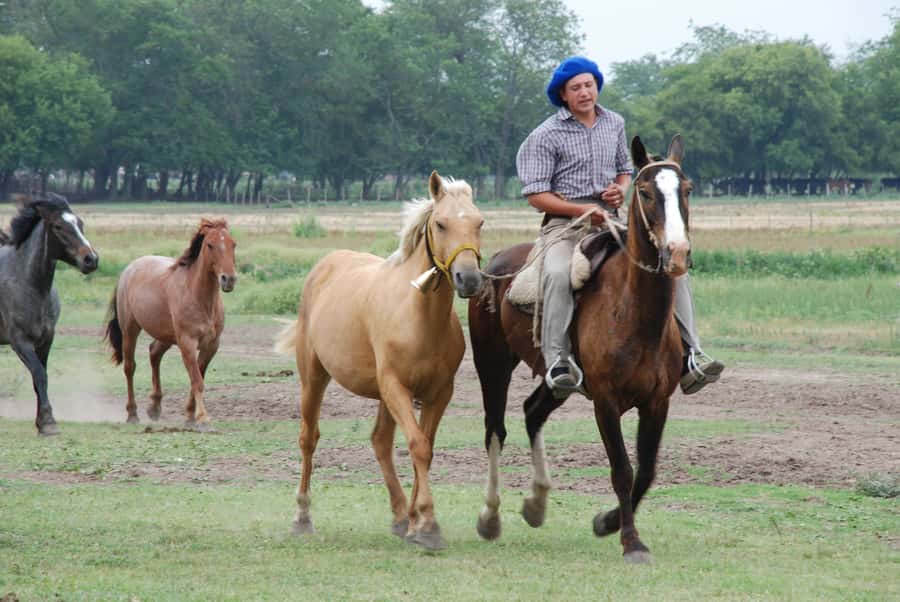 From Buenos Aires: Estancia Don Silvano Tour with Lunch. - Seeing the Victorian-style casco and ranch grounds
