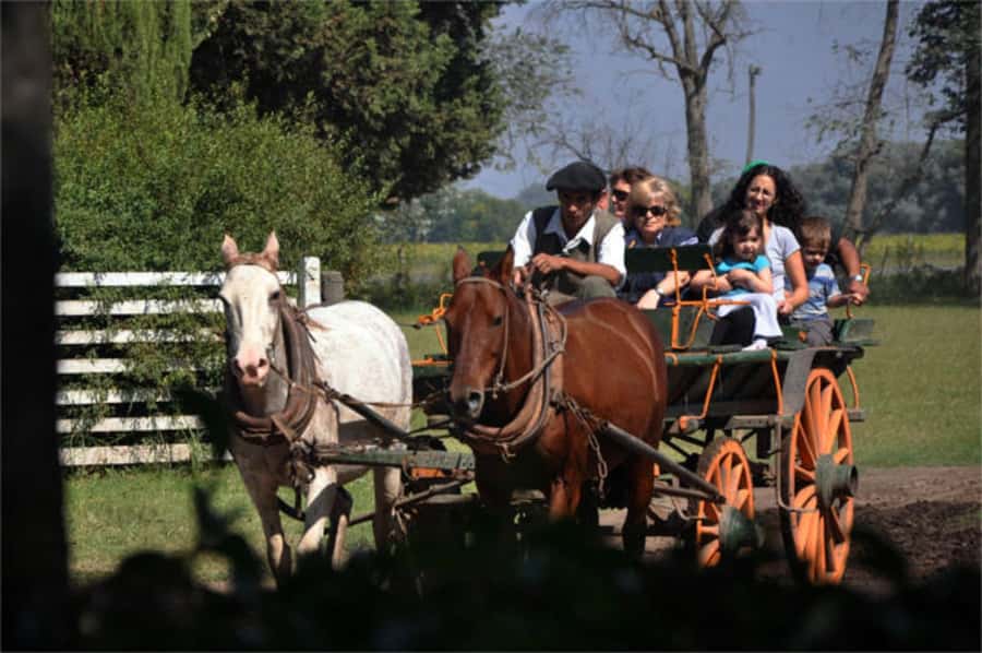 From Buenos Aires: Estancia Don Silvano Tour with Lunch. - The 105-minute ride from Buenos Aires