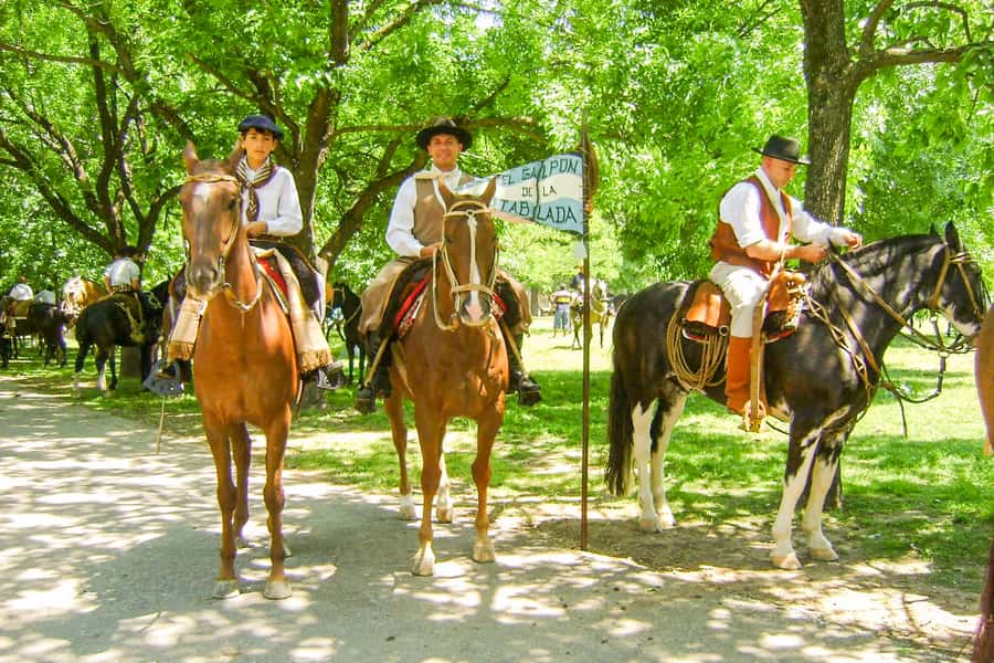 From Buenos Aires: Gaucho and Ranch Day Tour - Leaving Buenos Aires for the Pampas