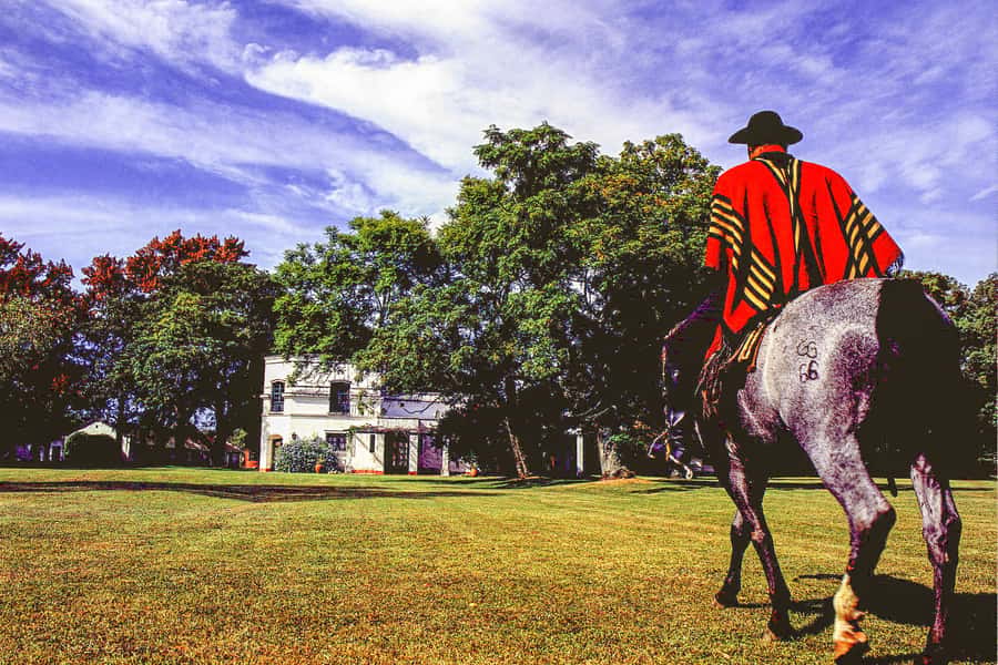 From Buenos Aires: Gaucho and Ranch Day Tour - Arriving at the estancia with empanadas and horses