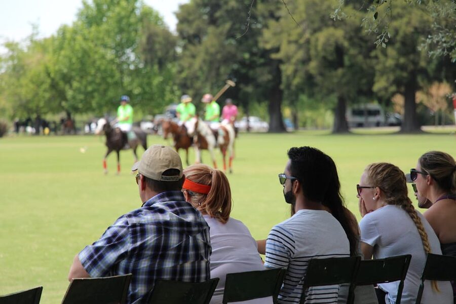 From Buenos Aires: Polo Match, Lesson, and BBQ Day-Trip - Is $295 good value?