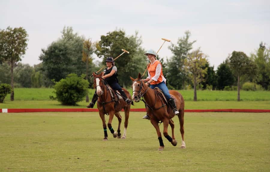 From Buenos Aires: Polo Match, Lesson, and BBQ Day-Trip - Meeting the horses at the pony line