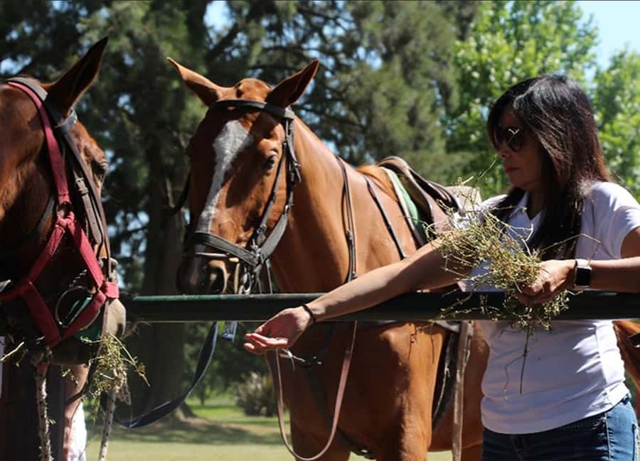 From Buenos Aires: Polo Match, Lesson, and BBQ Day-Trip - Watching professionals play and learning the rules