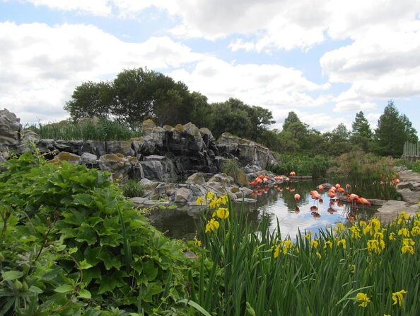 From Buenos Aires: Temaiken Biopark with Transfer and Tickets - Leaving Buenos Aires for Escobar