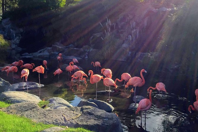 From Buenos Aires: Temaiken Biopark with Transfer and Tickets - How the guide and group size affect the day
