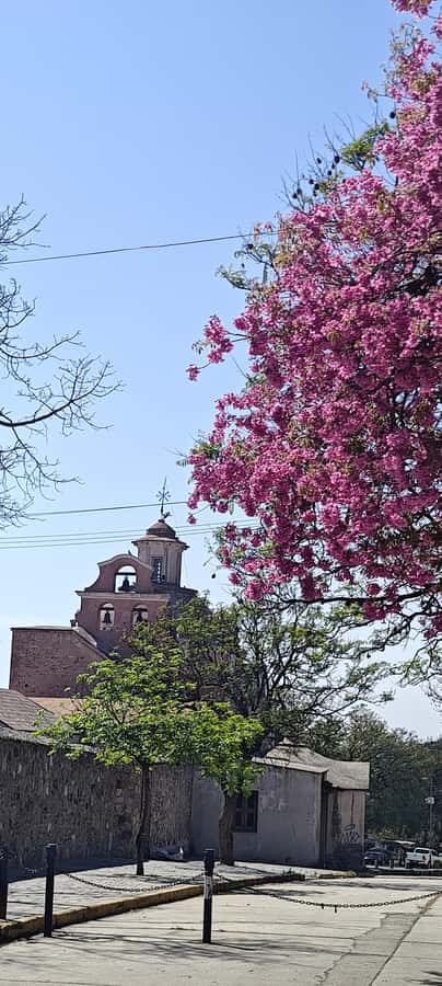 From Cordoba: Alta Gracia HalfDay Tour - The guide can shape the whole experience