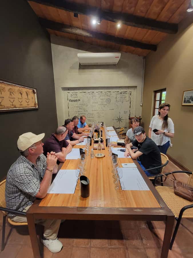 From Cordoba: Private Wine tour & History - What the wine tasting is like