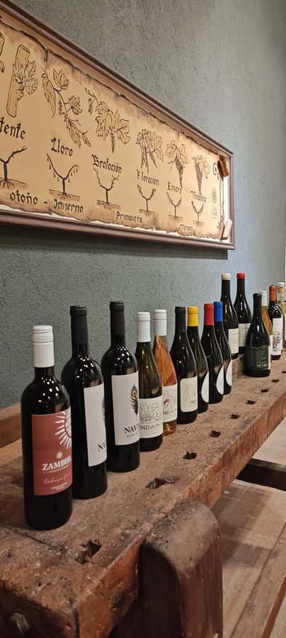From Córdoba: Wine Tour & Jesuit Legacy - Key points at a glance