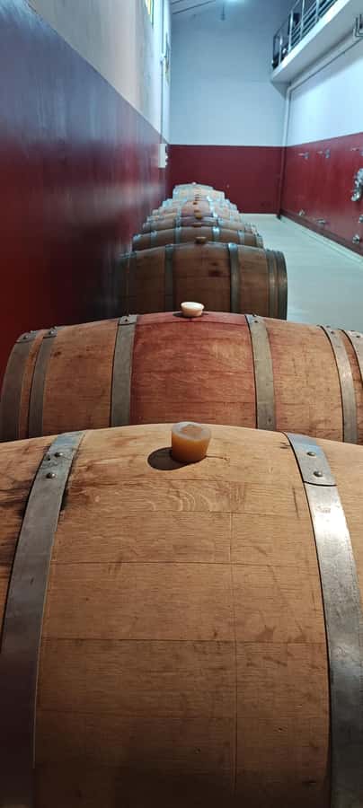 From Córdoba: Wine Tour & Jesuit Legacy - What the $125 price really covers