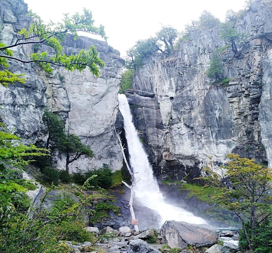 From El Calafate: El Chalten Full-Day Tour and Short Hike - Guides make or break the day