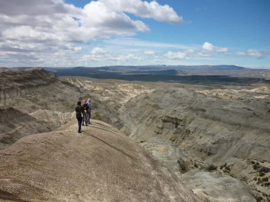 From El Calafate: La Leona Petrified Forest Day Trip - The included box lunch in the open air