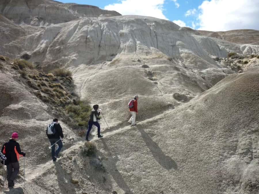 From El Calafate: La Leona Petrified Forest Day Trip - Is $220 a fair price?