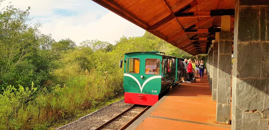 From Foz do Iguaçu: Argentinian Iguazu Falls with Boat Ride - The forest walk down to Puerto Macuco