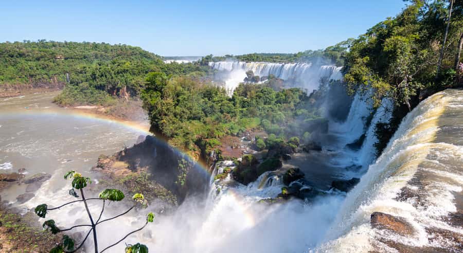 From Foz do Iguaçu: Argentinian Iguazu Falls with Ticket - The guide and the small-group setup