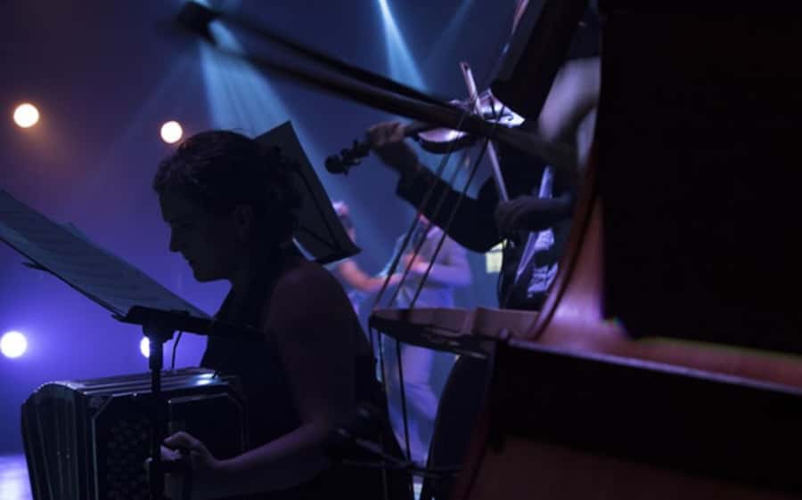 From Foz do Iguaçu: Madero Tango with dinner - Border documents and the minor restriction