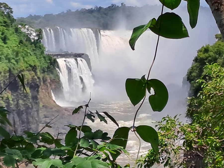 From Foz do Iguaçu: Tour to Argentinian Falls - FAQ
