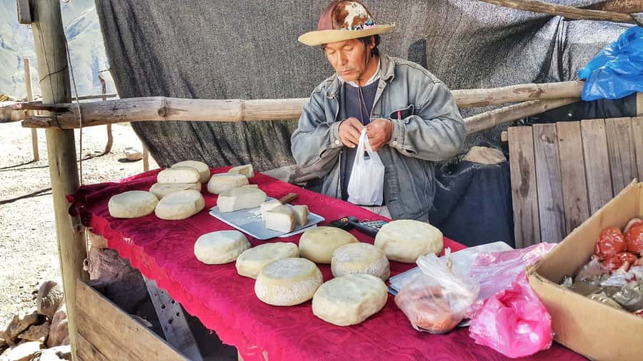 From Jujuy: Day Trip to Quebrada de Humahuaca - Guide quality and language arrangements