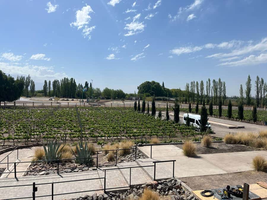 From Mendoza: 3 Wineries, Olive Oil Factory Tour & Tasting - Pickup from Mendoza: convenient, but allow extra time