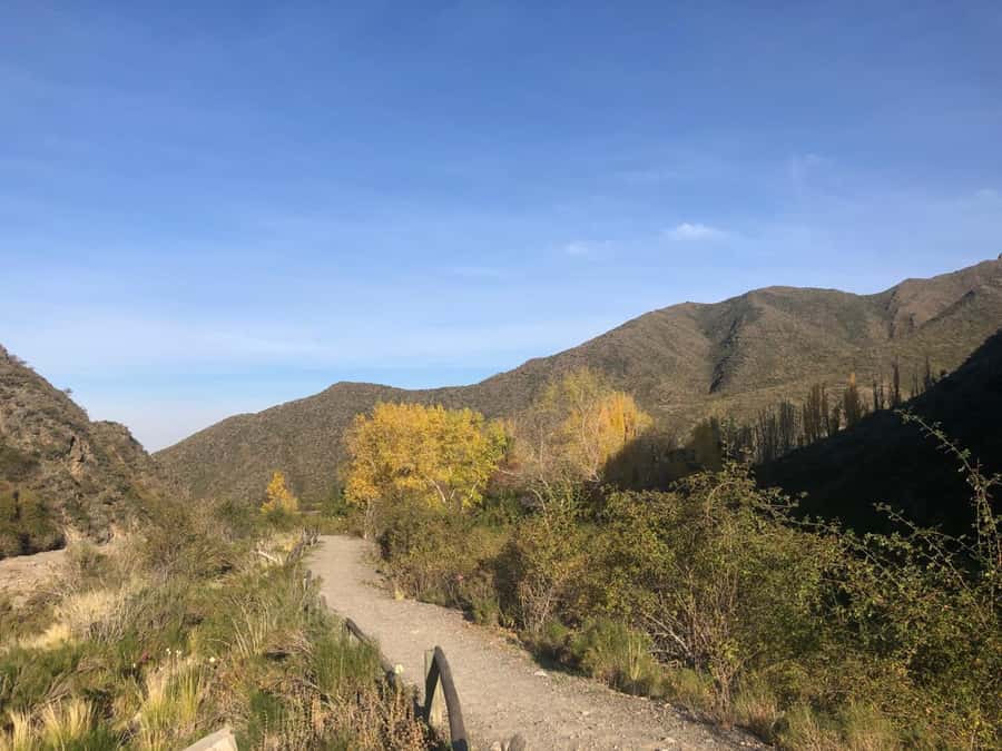 From Mendoza: Andes High Mountain Full-Day Tour - Key points at a glance