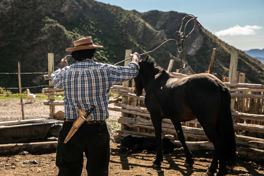 From Mendoza: Full Day Gaucho Experience - Timing, weather, and what to bring