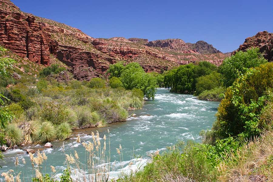 From Mendoza: San Rafael Sightseeing and Atuel Canyon Tour - The four-hour road to San Rafael
