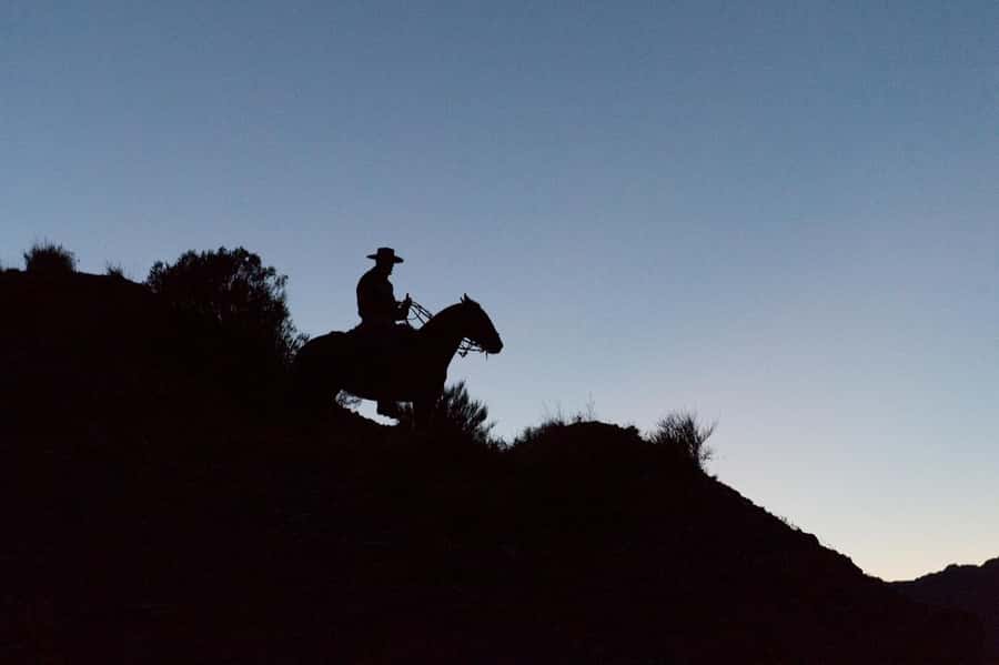 From Mendoza: Sunset Horseback Ride and Asado in the Andes - The ranch setting and personal service
