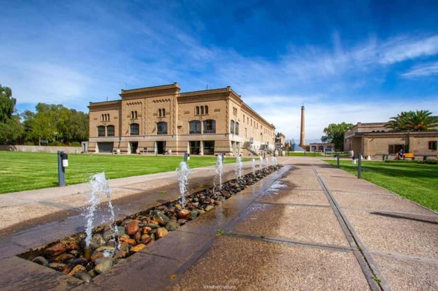 From Mendoza: Tasting tour to Maipu with Trapiche Winery - Key points to know before booking